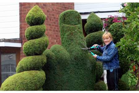 Neighbour issues - hedge problems!
