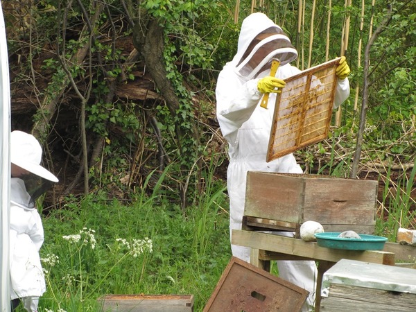 Team A has beefcake, Team Dog has joined the army and Team Ath are on Strike, Cormoran Strike. Swagger Inn 137.