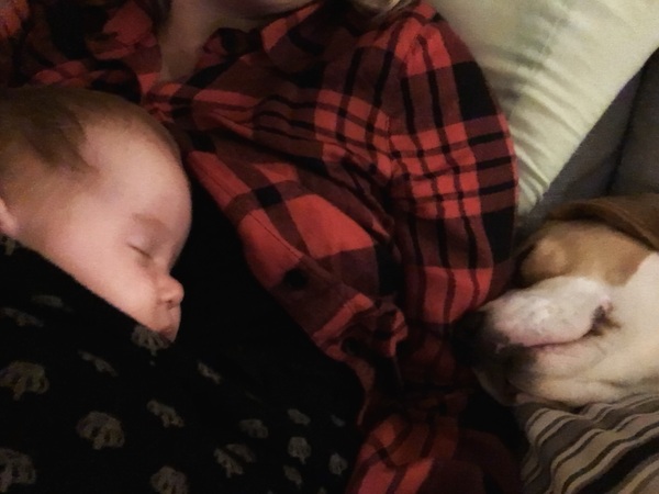 Thread 11. TTC #1 Grads, Babies Arriving Or 'Look At What I Made With My Genitals!'