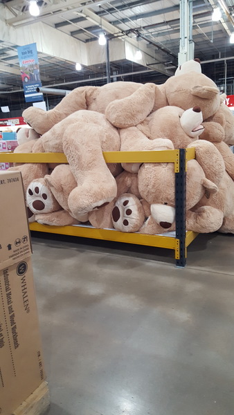 Thread 7 - the one where we have to find somewhere to hide the giant unicorns