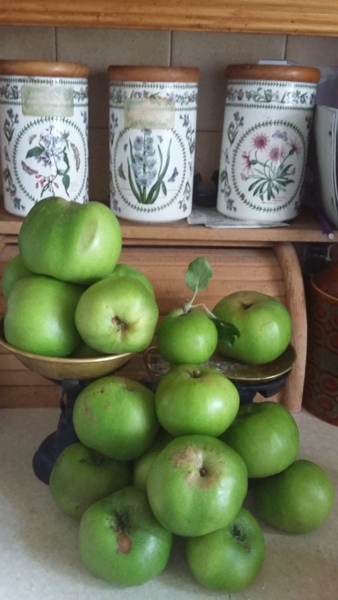 Our Girl and Captain James Addicts  XXXVII