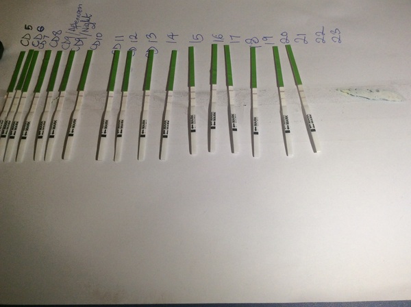 First time TTC - thread 3