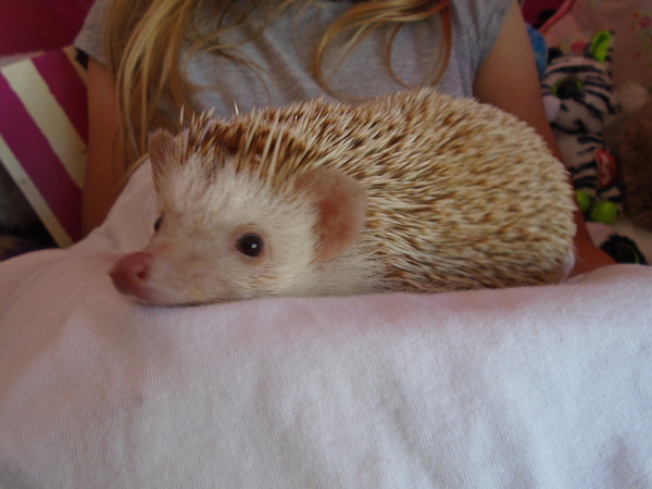 Today I learnt a new skill