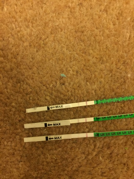 Help!! Ovulation test
