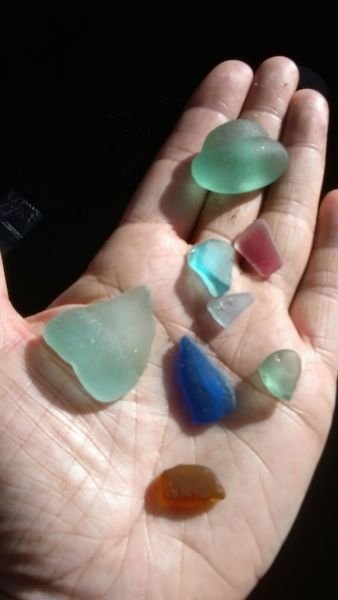 Brave Babes Battle Bus - Holding our heads up like thistles