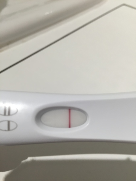 September bfp bus