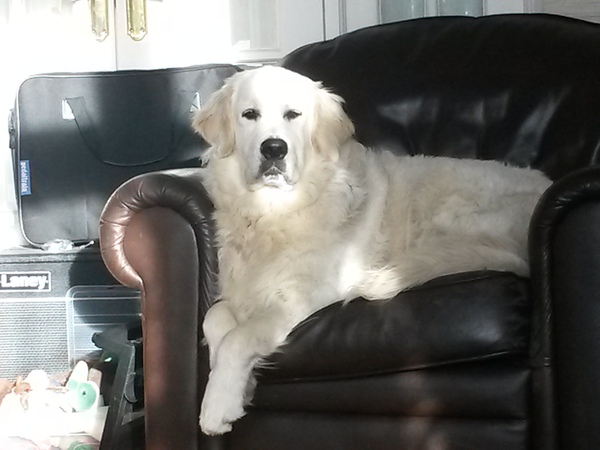 Meet Jess