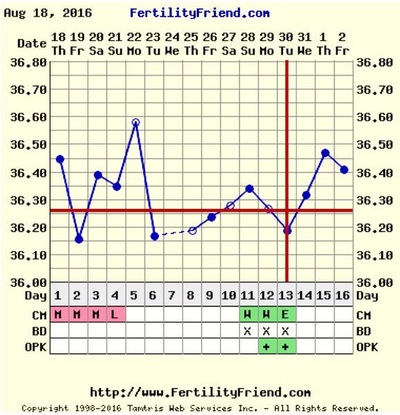 Positive opk after miscarriage- 2