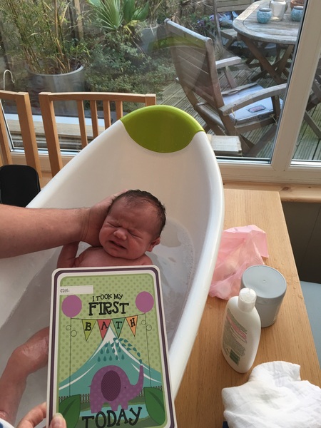 Thread 12 TTC#1 Grads. "You are my favourite thing that ever shit all over my hands"