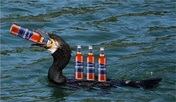 Team A has beefcake, Team Dog has joined the army and Team Ath are on Strike, Cormoran Strike. Swagger Inn 137.