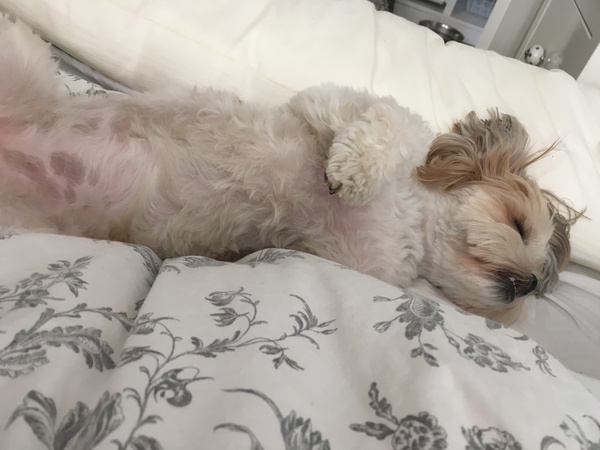 Due February 2017 - thread #7