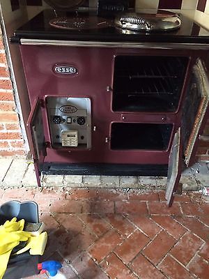 Replacing esse boiler?
