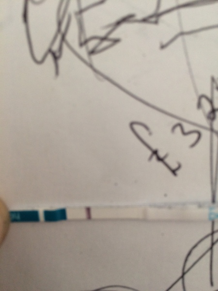 Is this a line are an evap line