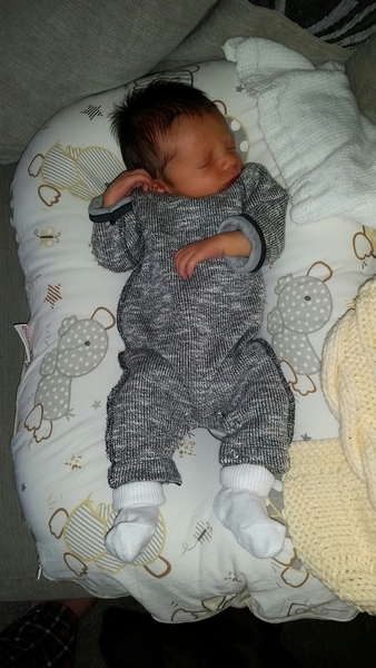 Thread 12 TTC#1 Grads. "You are my favourite thing that ever shit all over my hands"