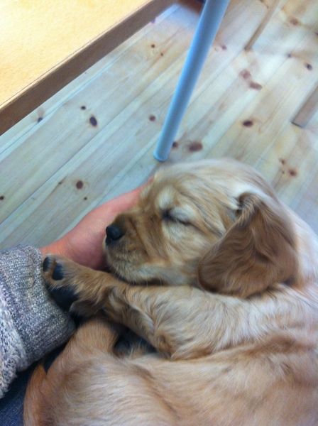 Meet Jess