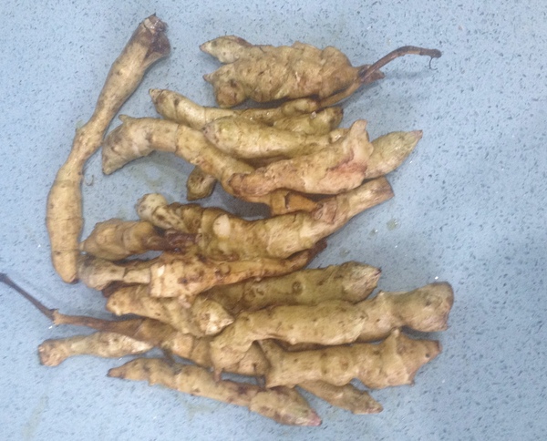 Allotment/Veg Patch Thread 6 -  Weed 'em and Reap!