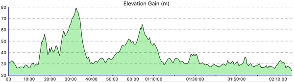 Half marathon - any one doing one?