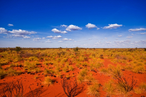 We are making a Woolly Hug for lovely Echt : Lovely donors and crafters, please, we need your help.