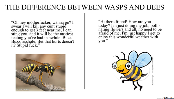 AIBU to want the extermination of all wasps