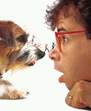 The mind numbing boredom of infertility III