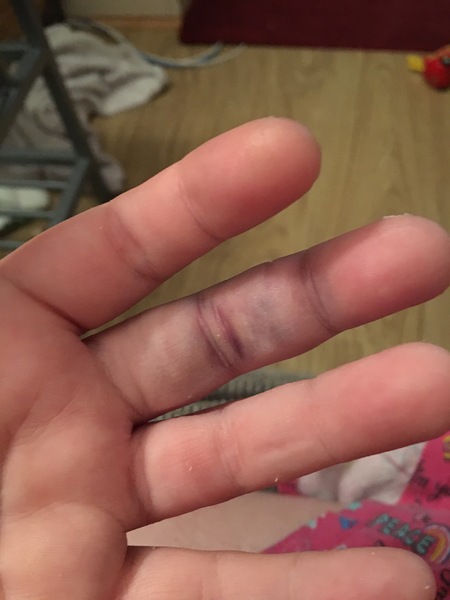 Thread 6 - the one where the shark beds go astray and we try not to eat our chocolate hauls