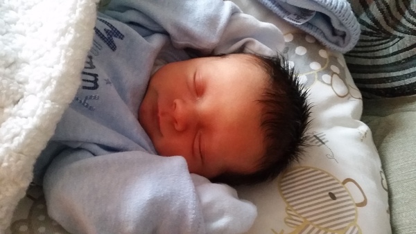 Thread 12 TTC#1 Grads. "You are my favourite thing that ever shit all over my hands"