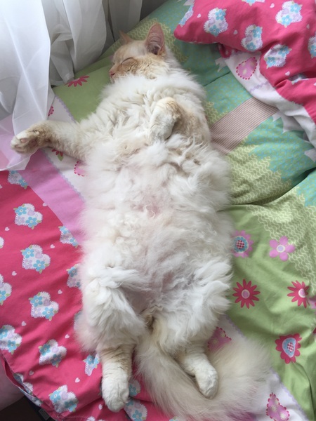 Super Scrimpers sashay, save & --squander-- their way through September