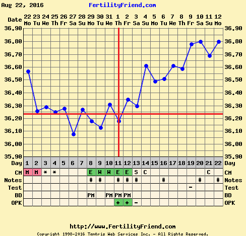 Positive opk after miscarriage- 2