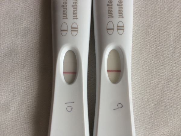 September bfp bus