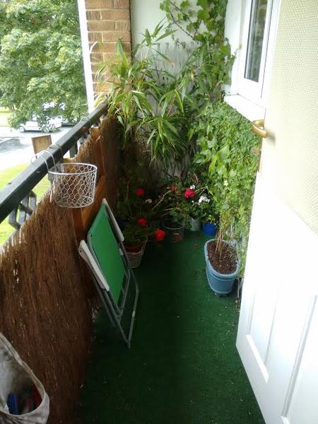 To ask lawn or AstroTurf?