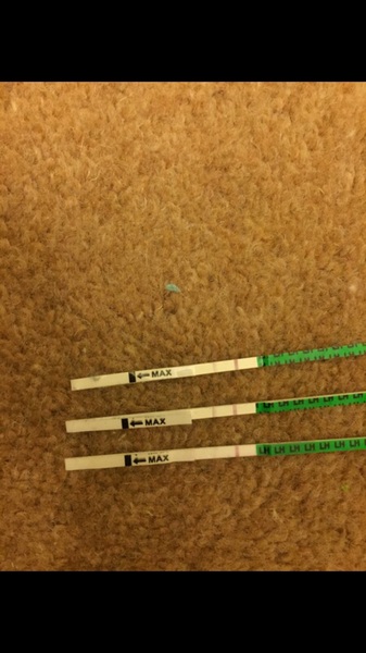 Pos or neg OPK