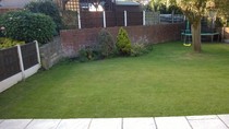 Ideas to screen an ugly back wall and fence (quite tall)