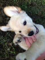 Meet Jess