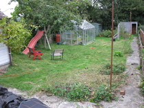 What would you do with my garden with no time and no money?