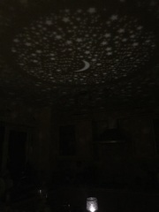 Thread 7 - the one where we have to find somewhere to hide the giant unicorns