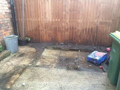 To ask lawn or AstroTurf?