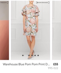 anyone seen a dress like this?