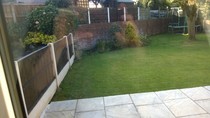 Ideas to screen an ugly back wall and fence (quite tall)