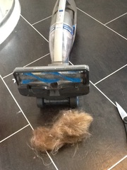 Look what I just pulled out of my vacuum cleaner!