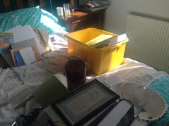 This afternoon I will be brave and venture into the loft!