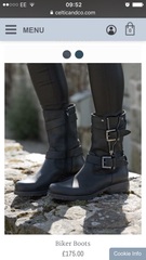 Those in the know, what are going to be 'the' boots this winter?
