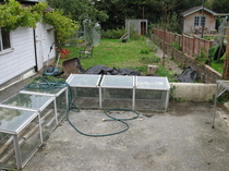 What would you do with my garden with no time and no money?