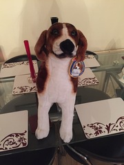 Thread 8 - anyone still looking for a poo cushion?