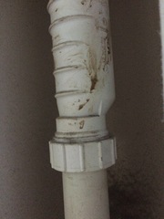 Smelly drains - please help