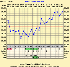 Positive opk after miscarriage- 2