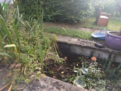 Renovating a garden pond