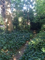 Little Forest Folk Fulham's Open Day!