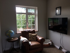 Help me decide on curtains before I lose the will to live