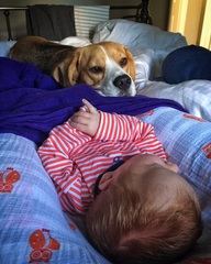 Thread 11. TTC #1 Grads, Babies Arriving Or 'Look At What I Made With My Genitals!'