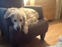 Meet Jess